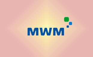 ✓ MWM 0403 5819 Запчасть MWM 